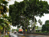 Hawaii-2011-71.jpg