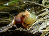 P1010027.JPG