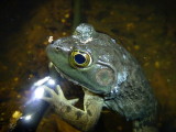 P1020200.JPG