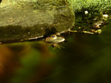 P1020590.JPG