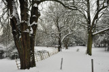 DSC_8347.JPG