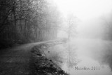 canal misty trail 4974.jpg
