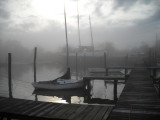 marina cove fog 042.jpg