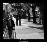 DSC_3029a.jpg