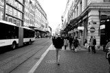 DSC_3074-1a.jpg