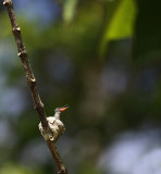 IMG_1559.15.02.2011.jpg