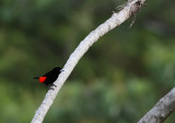 IMG_2306.16.02.2011.jpg