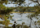 Cape Cod 2011-5743.jpg