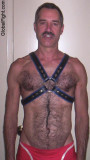 leather daddy harness hairy trail.jpg