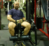 gym bear workingout legmachine.jpeg