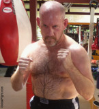 sweaty hairy boxing daddy bear sweating workout.jpg