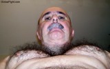 silverdaddie salt pepper hairy chest thick moustache.jpg