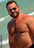 heavyset hairy chest pecs massive daddy bear.jpg