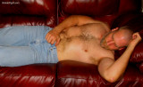 a blond bearded hairy cub sleeping hairychest pics.jpg