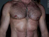 big hairy pecs fuzzy daddies furry jock chest pics.jpg