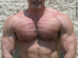 thick veiny arms biceps chest hairy pecs pics.jpg