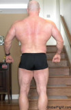 huge thick back muscles calves thighs hairyback powerlifter.jpg