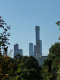 Tall towers from Royal Botanic Gardens, Melbourne