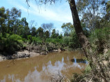 Yarra river in Birrarrung Park, Lower Templestowe