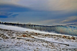 DSC_4114zzzpb.jpg