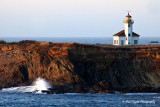  Cape Arago Lighthouse