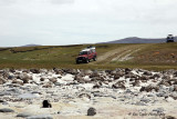 Bluff cove Falkland Islands