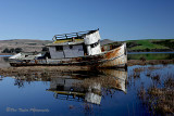 Point Reyes