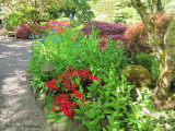 Butchart Gardens