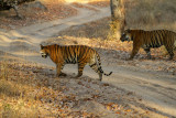 India2011_326.jpg