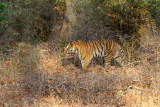 India2011_329.jpg