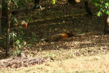 India2011_343.jpg