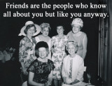 Friends like you
