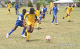BICO Primary Schools Football