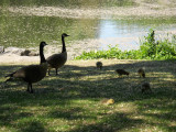 DSCN0432.jpg
