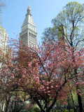 DSCN1701.jpg