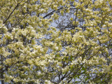 DSCN1754.jpg
