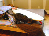 DSCN1661.jpg