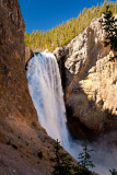 View of Lower Falls From Uncle Toms Trail