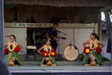 Hula Show