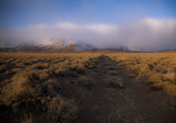 Journey to the Lek; East slope of the eastern Sierras, California Great Basin