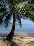 Koh Chang 133_small.jpg