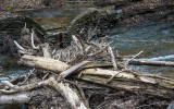 Flood Debris