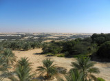 Liwa Oasis