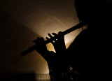 Flautist, Okehampton Acoustic Club