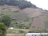 Cultivated Fields in Highlands