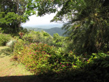 View at Birders View