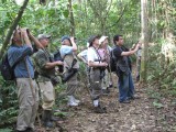 Birding at Burbayar