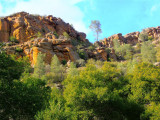 Pinnacles scenery