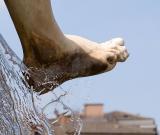 foot