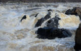 Great Falls Flooding